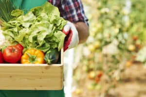 Innovaciones en la agricultura sostenible en el 2023 | Green Crop