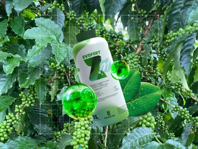 imagen-destacada-blog-evofer-zn-greencrop